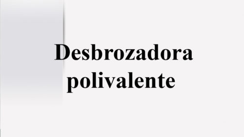 Desbrozadora polivalente