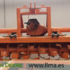 Rotavator FALC G2500 (grupo antiguo) - Imagen 3